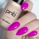 Гел лак PNB 8 мл 040